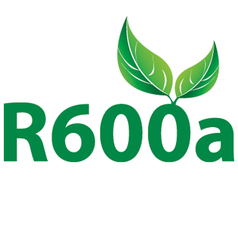 Logo for R600a with green text and two stylized leaves above the '0' suggesting an eco-friendly theme